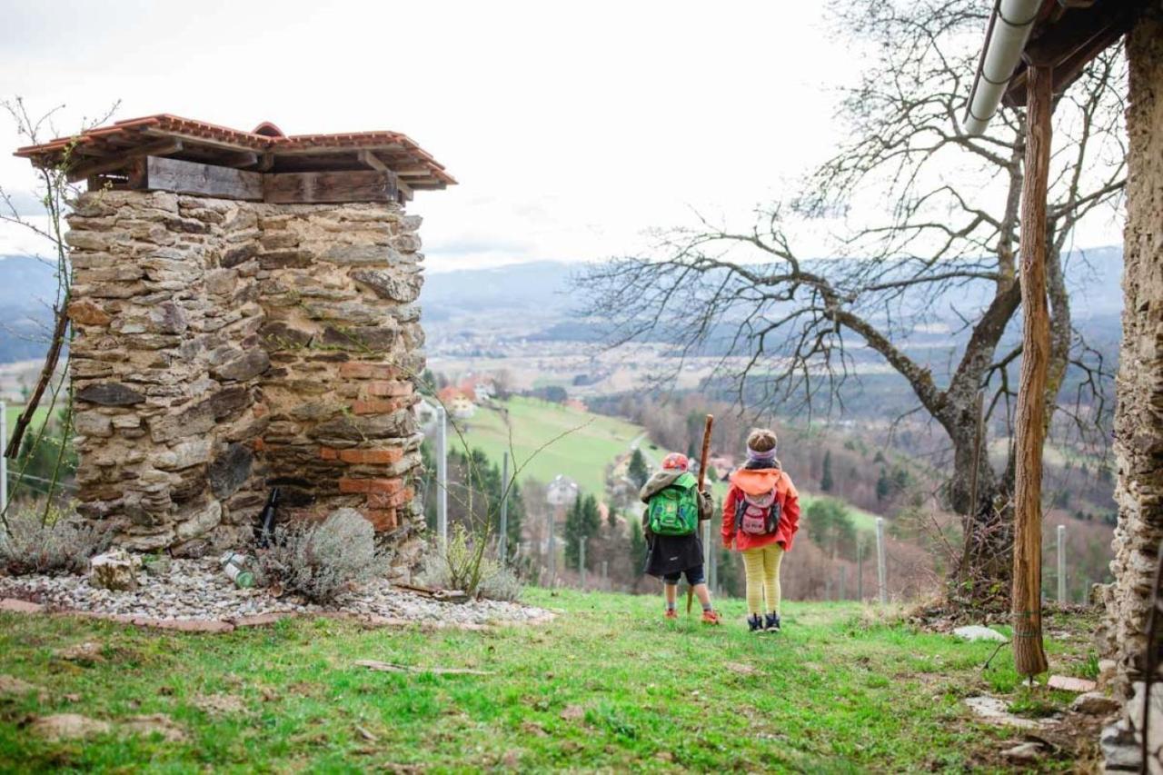 Ferienwohnung Stiegelbauer Fichte Sausal Buitenkant foto
